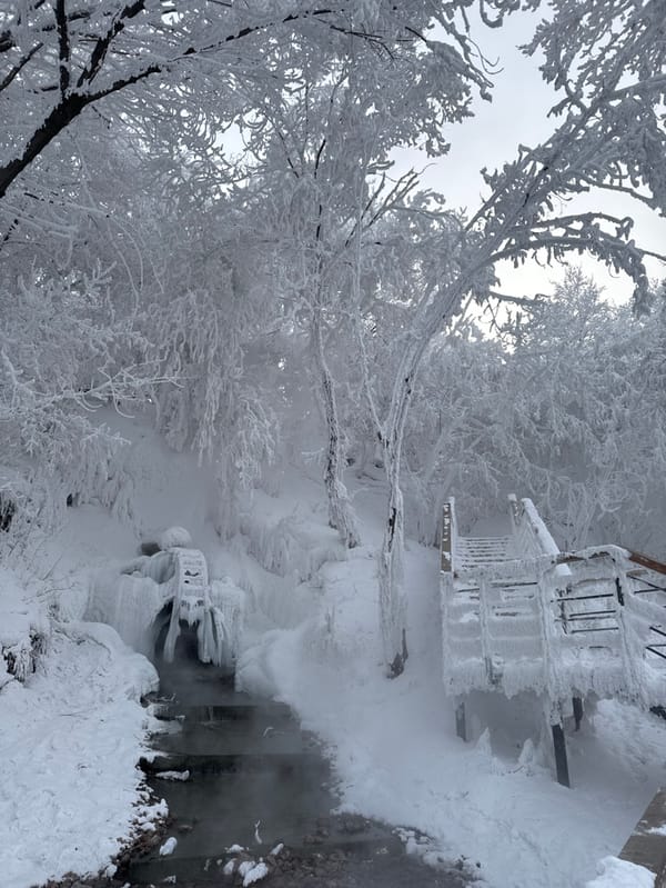Winter scenes documented across frost-covered Krasnoyarsk locations