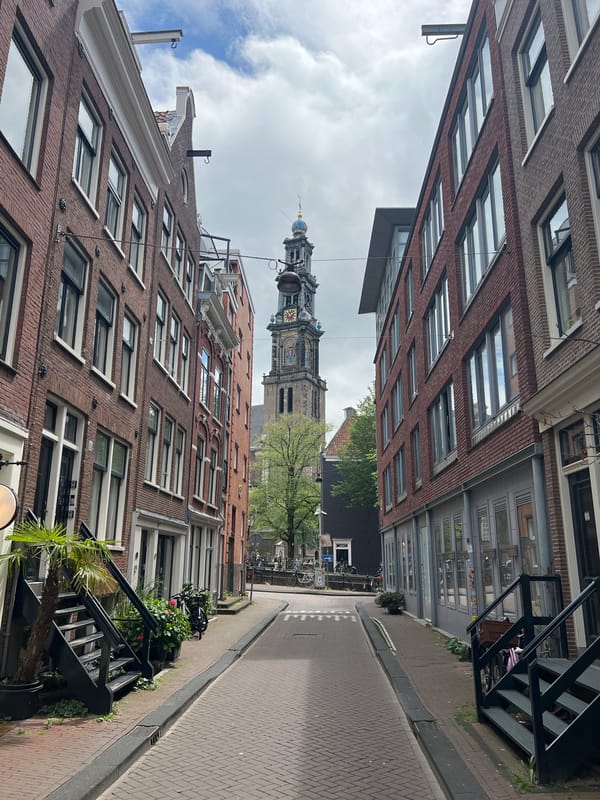 Morning exploring Amsterdam's canal district and a grand historic interior