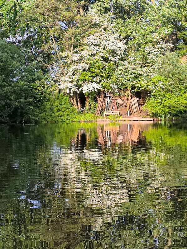 Evening stroll documented through Alkmaar canals and gardens