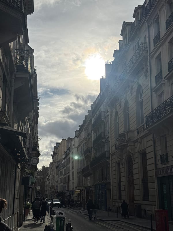 Everyday street life documented across multiple Paris arrondissements