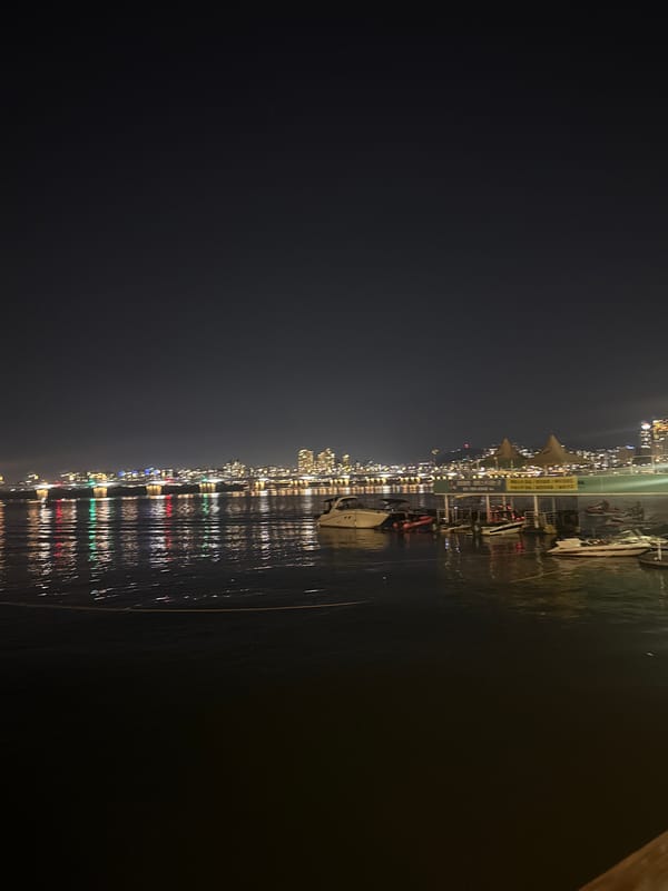 Seoul Han River nighttime scenes with holiday lights captured