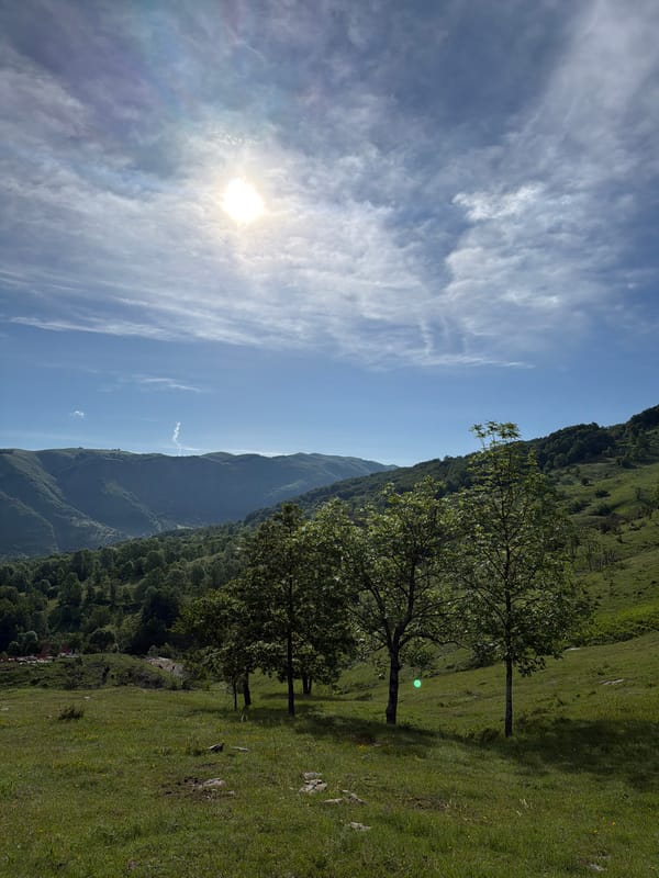 Rural cattle farming observed in Montenegro's mountain village