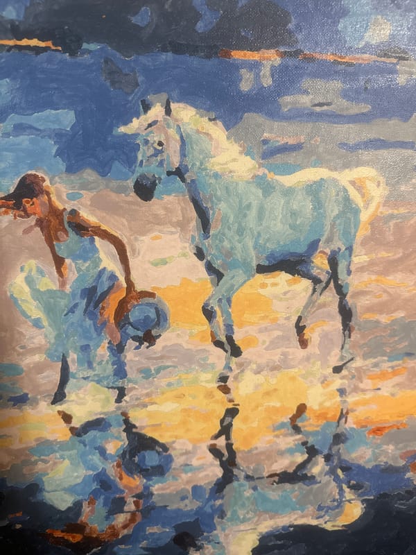 Daily life moments documented across Plovdiv apartment and balcony