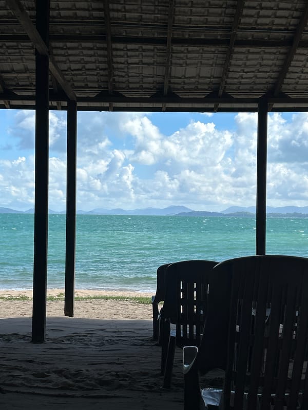 Lazy beach morning in Ban Khlong Hia, palms and cows included