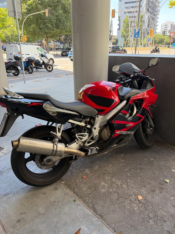 Ordinary afternoon moments captured in l'Hospitalet de Llobregat