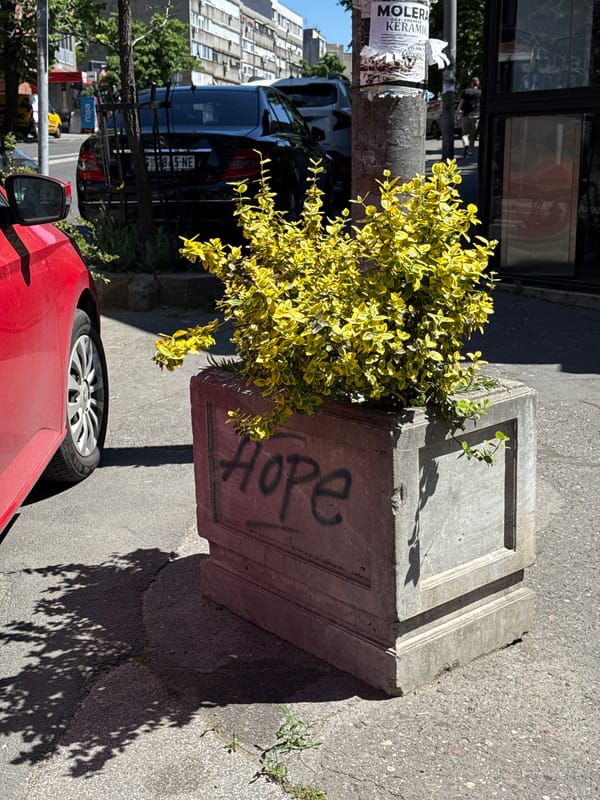 Walking tour captures everyday street life in Belgrade suburb