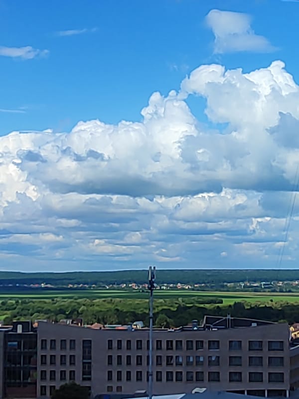 Quiet morning in Voronezh: birds, stones, skies, and still life