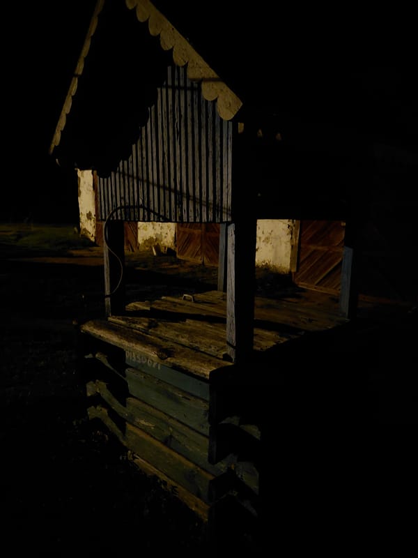 Nighttime neighborhood walk documented through 30 low-light observations