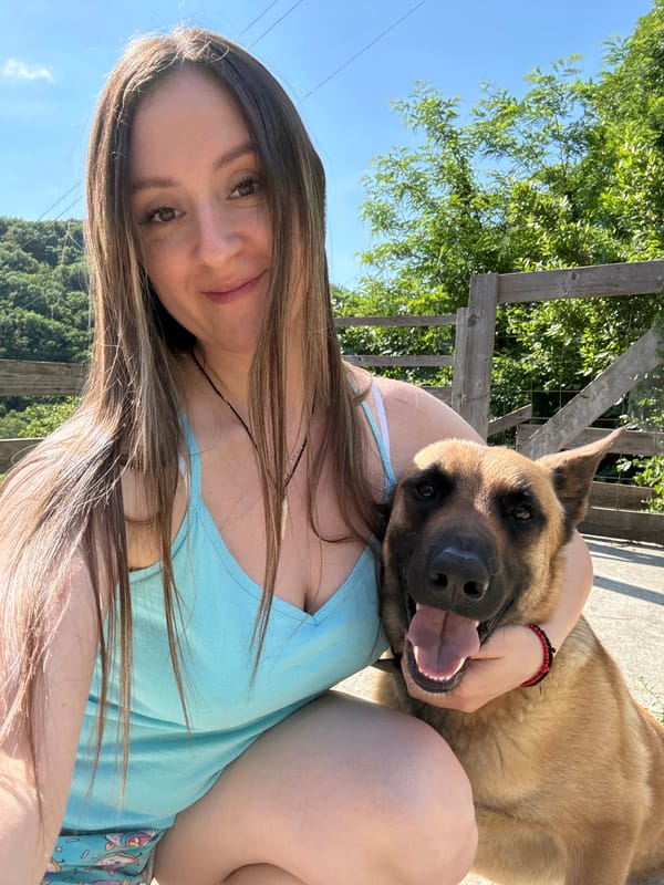 Peaceful domestic afternoon in Kroyanskoye with pets and home