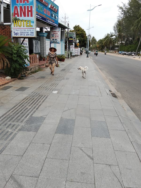 Quiet morning in Phu Thuy Ward — streets, gardens, and home life