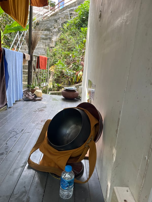 Buddhist forest retreat in Patong, explored at dawn
