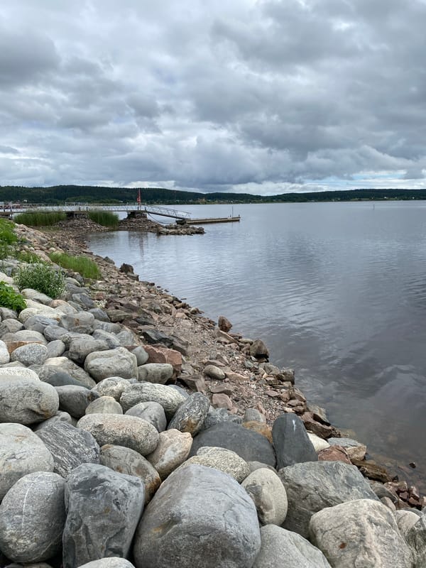 Lakeside morning in Sortavala: waterfront, wildlife, and local life