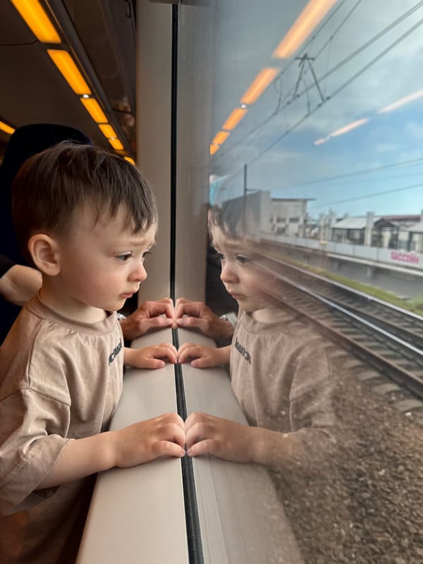 Child and adult share train window moment in Sochi