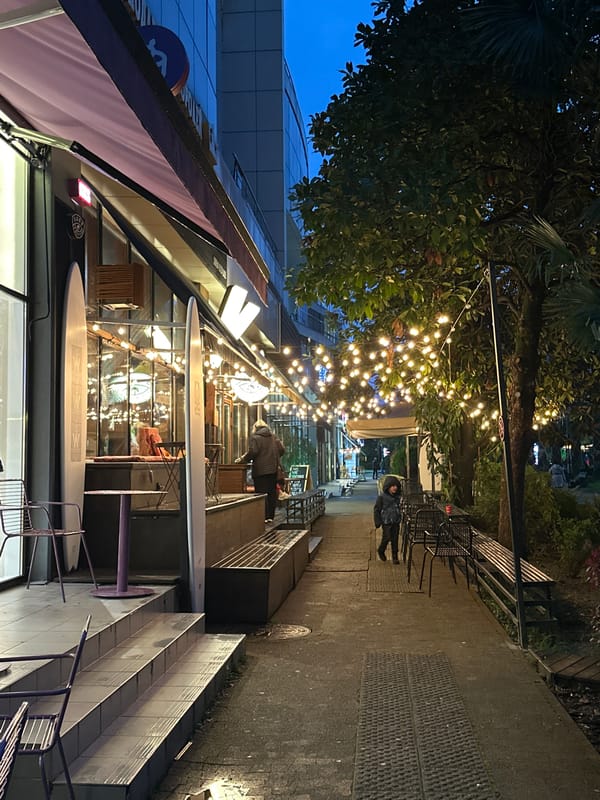 Evening street scene captured in Sochi commercial district