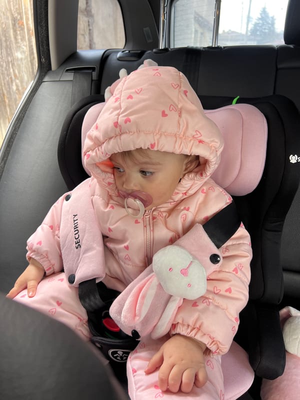 Baby in pink jacket travels with stuffed bunny in Elena