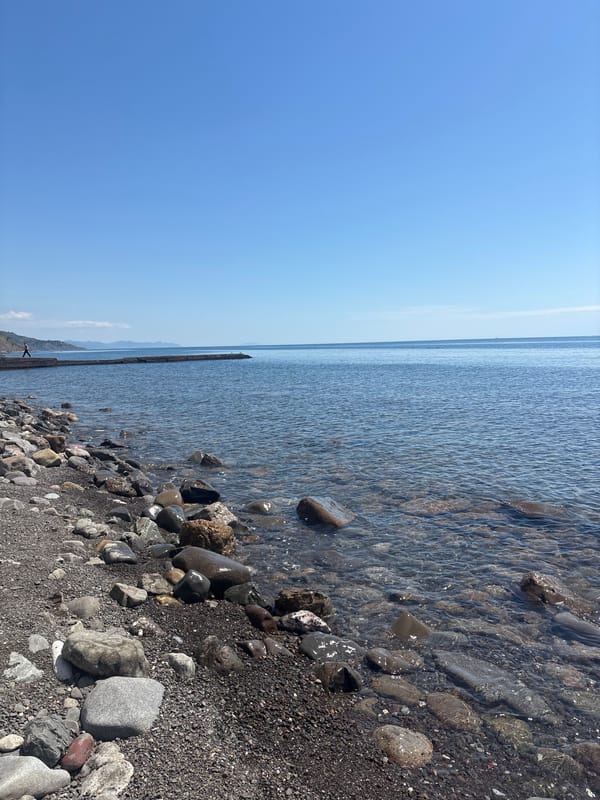 Morning coastal documentation shows Semidvorye Ukraine shoreline development