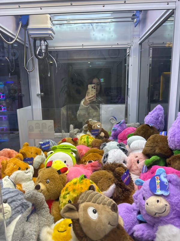 Early morning grocery shopping documented at Mexican Walmart