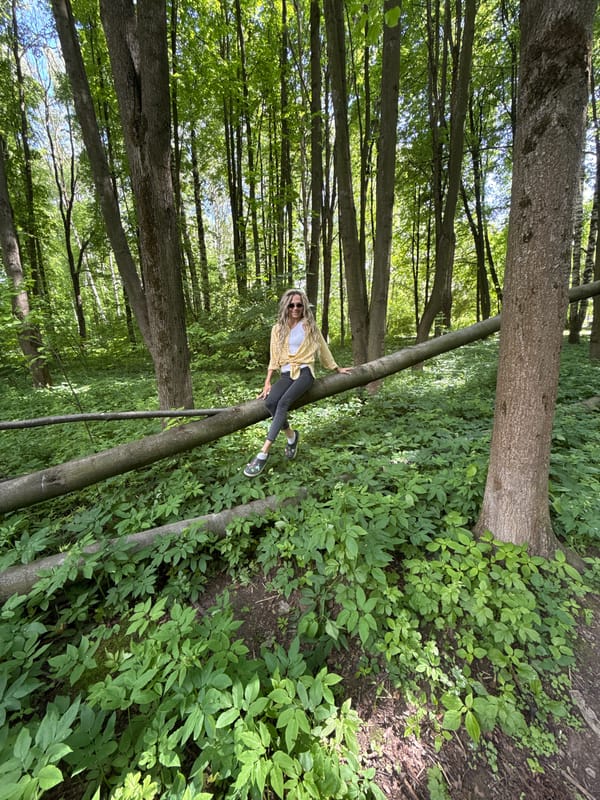 Forest scene documented in Rusanovo, Russia