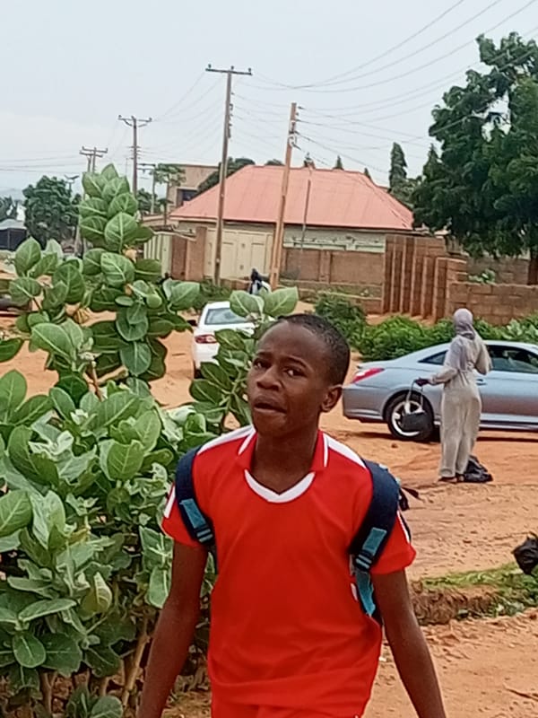 Morning routines on the streets of rural northeastern Nigeria