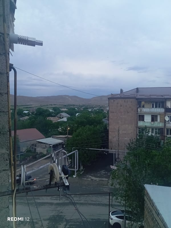Witness documents residential landscape and pizza during afternoon observations