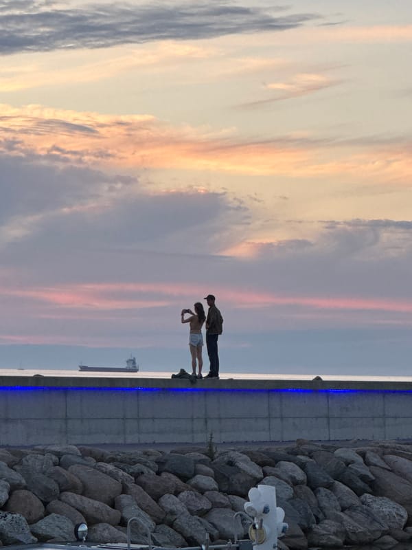 Tallinn waterfront at dusk, marina and shoreline scenes
