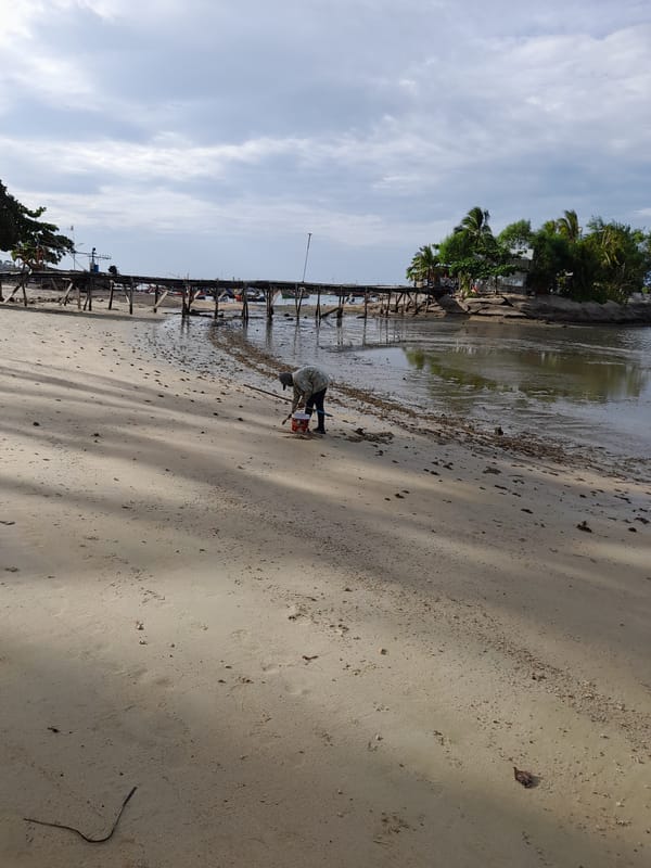 Cloudy morning along a Koh Samui beach, quiet and lived-in