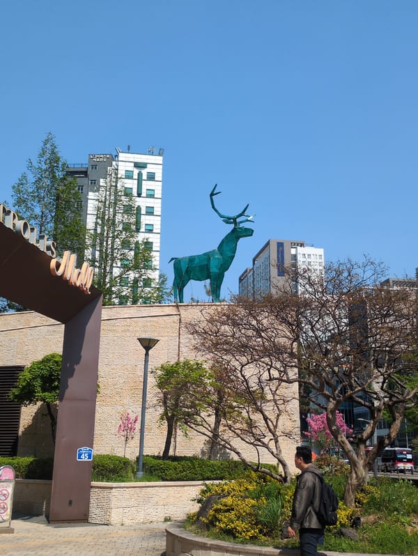 Early morning street scenes documented in Seoul