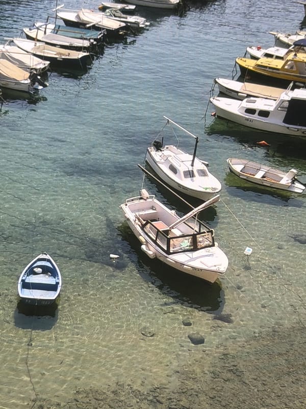 Boats in shallow water and a stone building facade