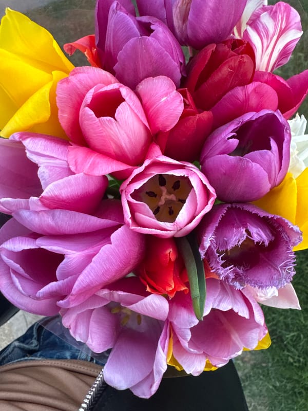 Woman carries tulip bouquet through Kryvyi Rih at sunset