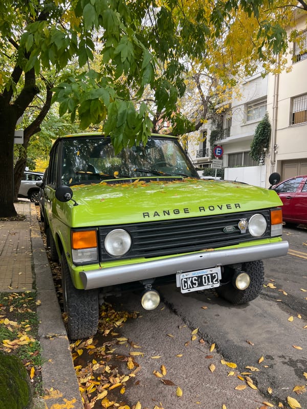Witness documents Buenos Aires street scenes with luxury cars, autumn foliage