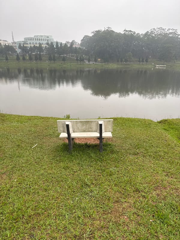 Peaceful fishing and lakeside moments captured in Da Lat