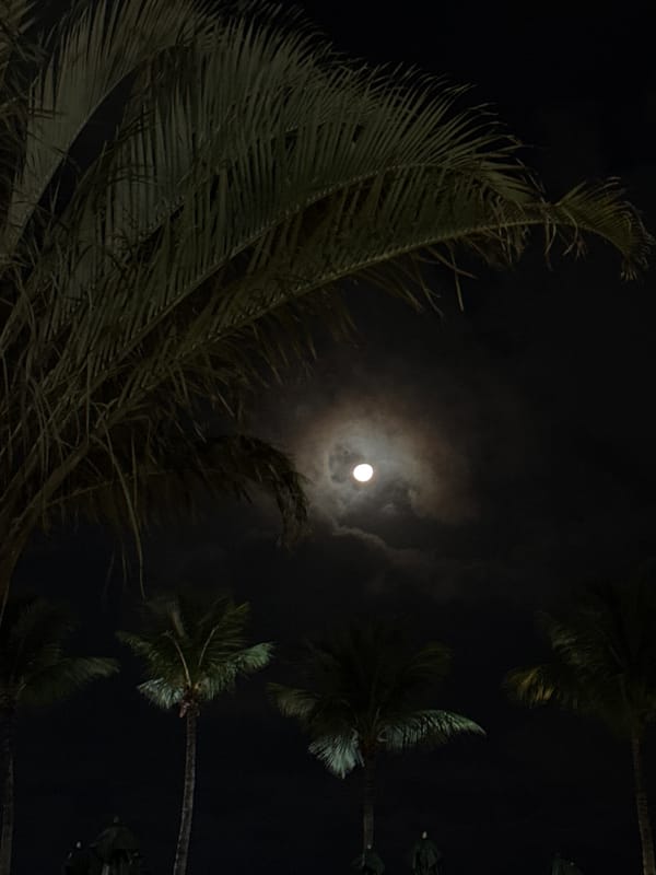 Rio residents capture moonlit evening of dining and coastal scenes