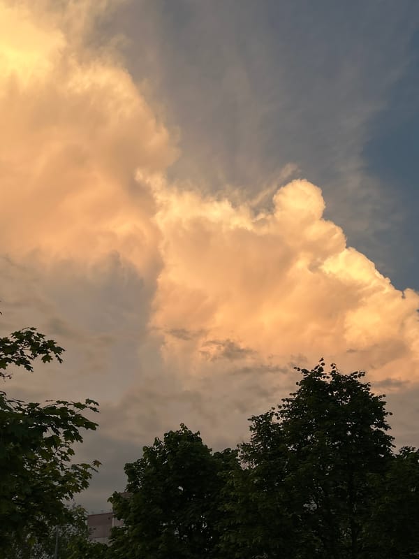Spring evening scenes: flowering trees, golden clouds, crescent moon