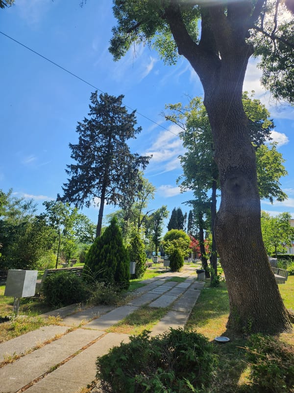 Tsarevo cemetery and harbor on a sunny summer afternoon