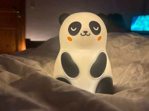 Panda nightlight documented in Braunlage bedroom Sunday morning