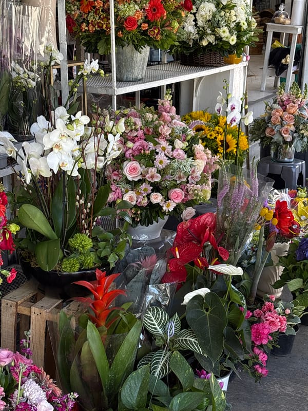 Evening scenes captured across Mexico City markets and establishments