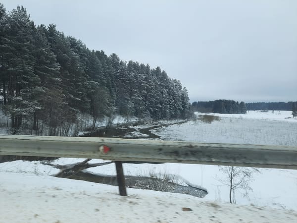 Winter scene captured from vehicle near Krasnogorskoye, Russia