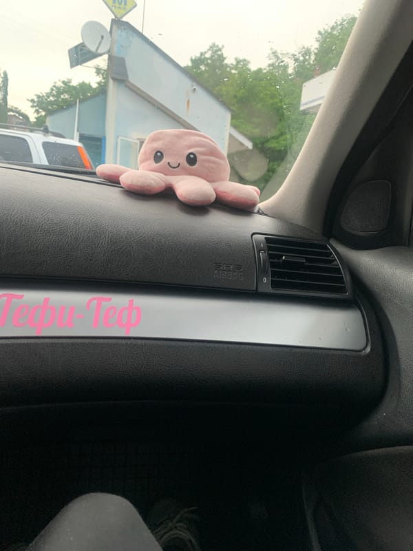 Dashboard view from a car in Madan, Bulgaria