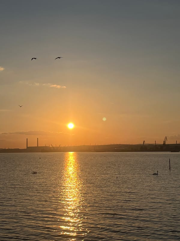Sunset observed over Bulgarian coast with birds silhouetted