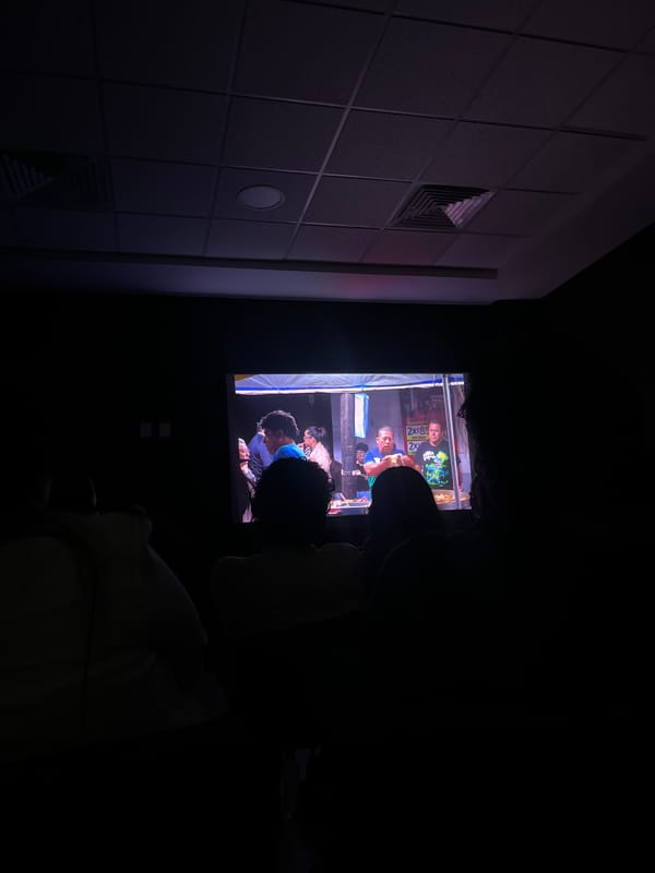 Dimly lit room with screen and textured wall documented