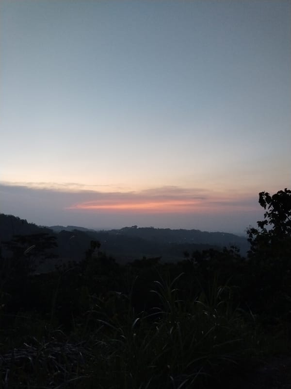 Person captured shouting against twilight sky in landscape setting