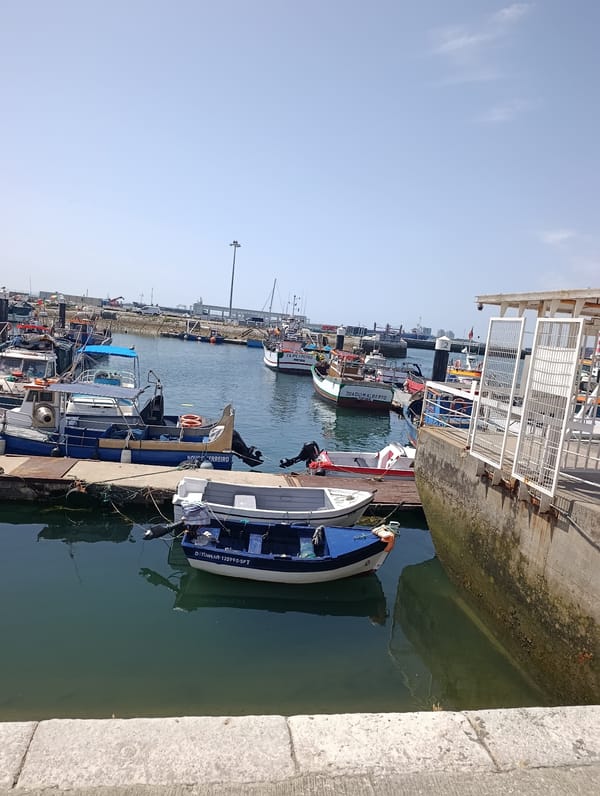 Setúbal's waterfront buzzes on a sunny market morning