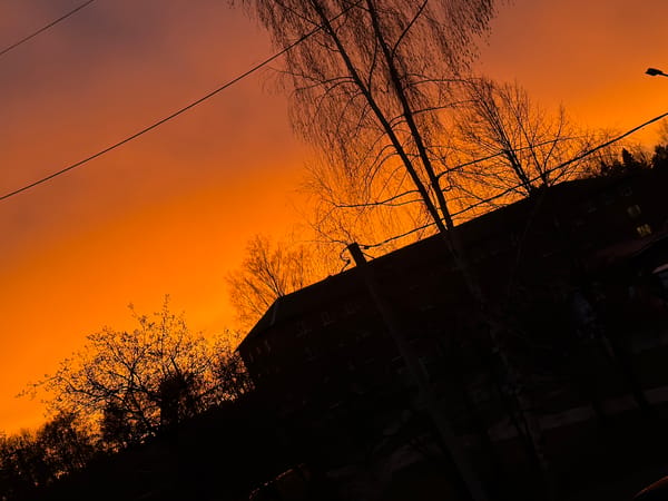 Evening life documented in Reshetnikovo during vibrant spring sunset