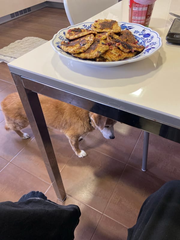 Quiet domestic moments with pets and cooking in Villaviciosa