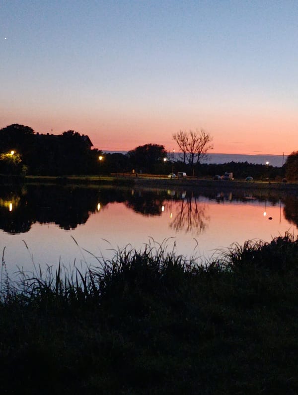 Dusk at a park pond, with an emergency vehicle nearby.