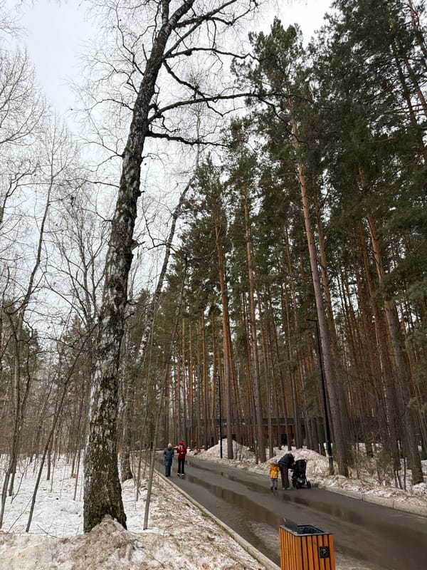 Winter park walk documented in snowy Krasnoyarsk