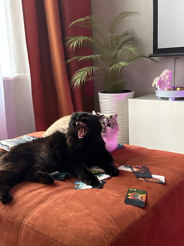 Two cats relax on orange couch in Rostov-on-Don home