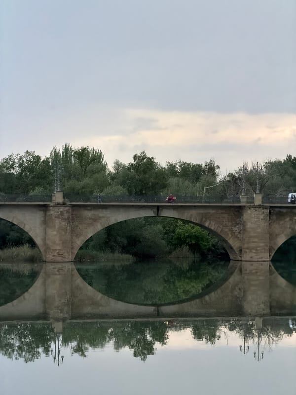 Evening stroll across historic stone bridge in Logroño captured