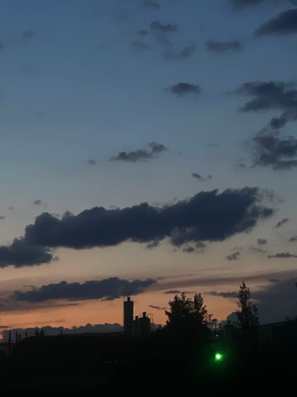 Twilight photography session documented across Tbilisi during evening hours