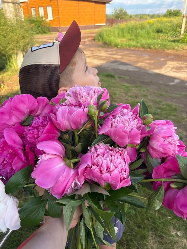 Peony bouquets appear throughout small Russian town afternoon